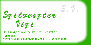 szilveszter vizi business card